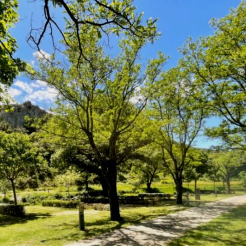 Stellplatz - Standort