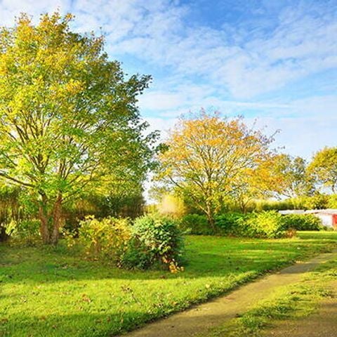 PLOT - Pitch | Cosy | Tent | Vehicle -7m | <85m² | Electricity | Water