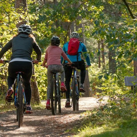 Camping des Sources Camping des Sources - Camping Herault - Image N°7