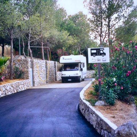 PLOT - Plus (1 car 1 caravan/tent/camping-car electricity + water)