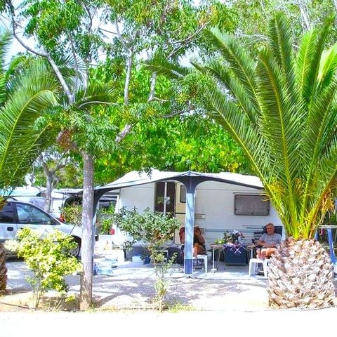 Stellplatz - Plus (6 Personen, inkl. Babys)