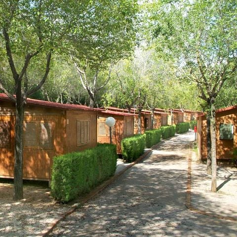 Chalet 6 personen - Chalet 6 personen