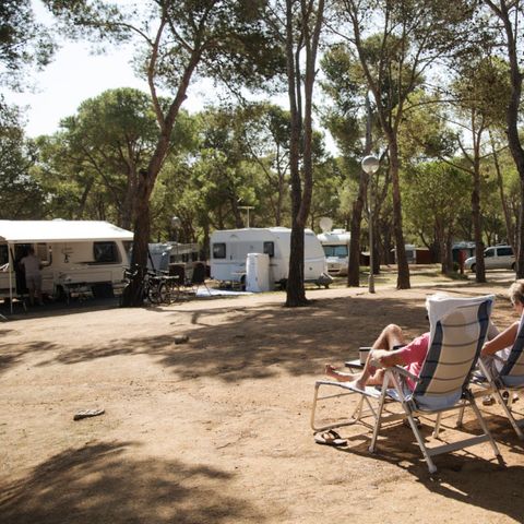 STAANPLAATS - Standaard tent of caravan of camper