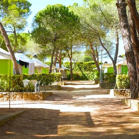 Tent 4 personen - Trigano