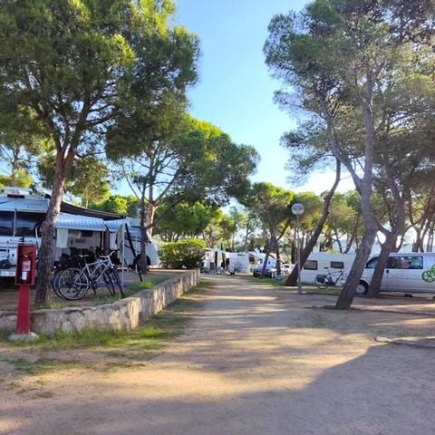 PARCELA - Parcel.la Estándar