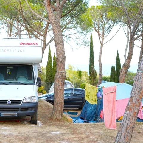 PARCELA - Parcel.la Estándar