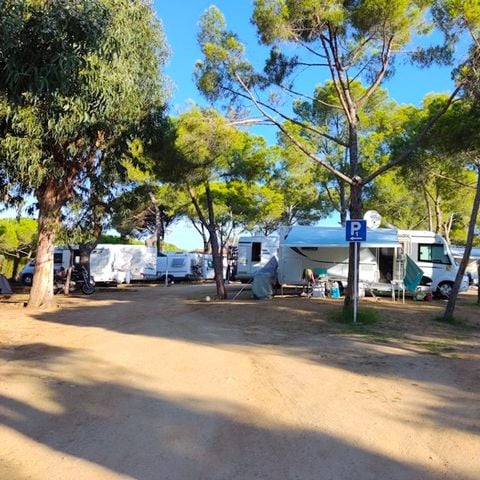 PARCELA - Parcel.la Estándar