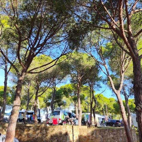 EMPLACEMENT - Parcel.la Standard