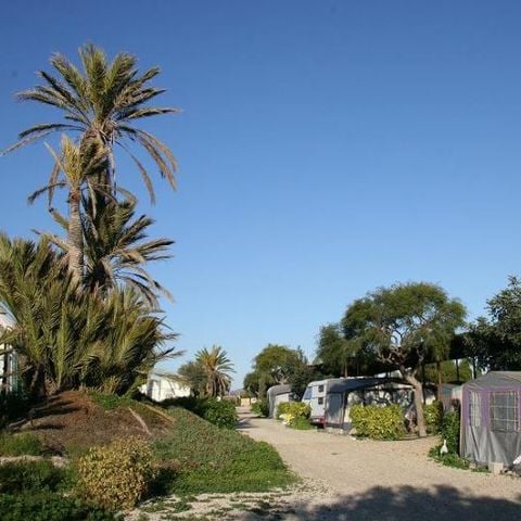Kampeerplaats - Standplaats caravan en auto 2 pers