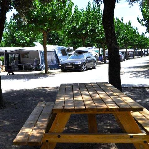 Kampeerplaats - PLAATS plus 6 personen