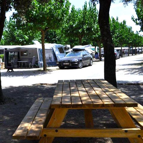Stellplatz - STELLPLATZ plus 6 Personen