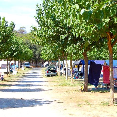 Stellplatz - STELLPLATZ plus 6 Personen