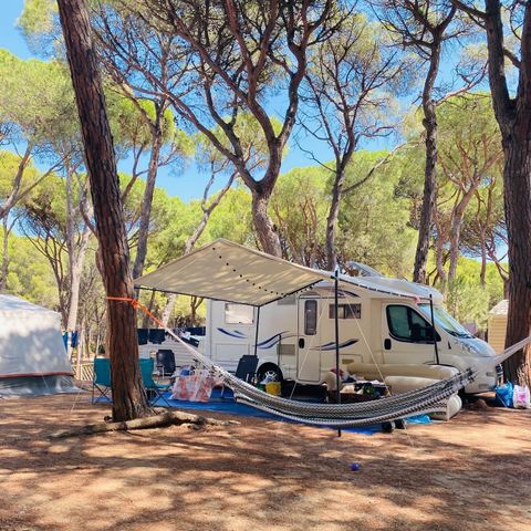 Kampeerplaats - Standaard Comfort standplaats (60-75m2): auto + caravan of camper of tent + elektriciteit
