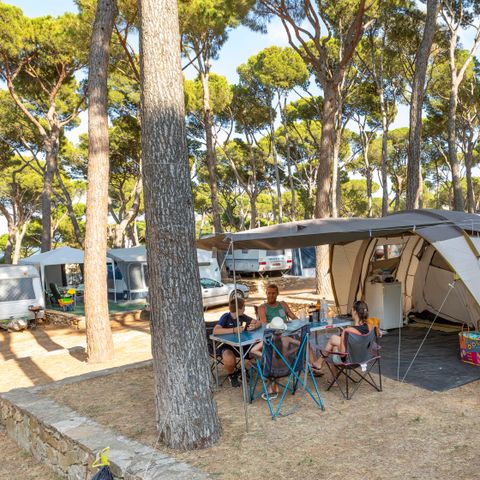 Kampeerplaats - Standaard Comfort standplaats (60-75m2): auto + caravan of camper of tent + elektriciteit