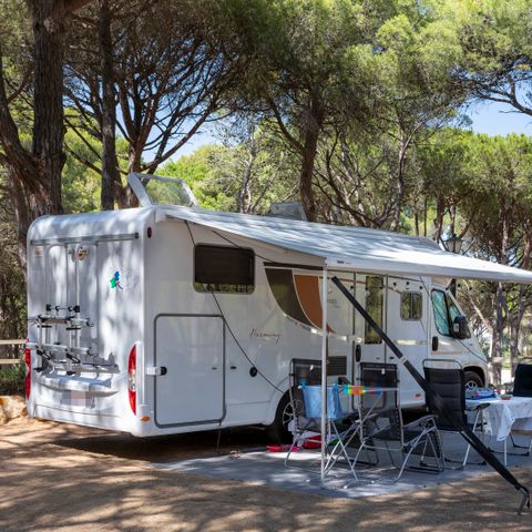 Kampeerplaats - Standaard Comfort standplaats (60-75m2): auto + caravan of camper of tent + elektriciteit