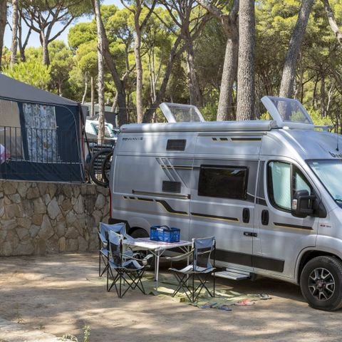 Kampeerplaats - Standaard Basis (45-60m2): auto + caravan of camper of tent + elektriciteit