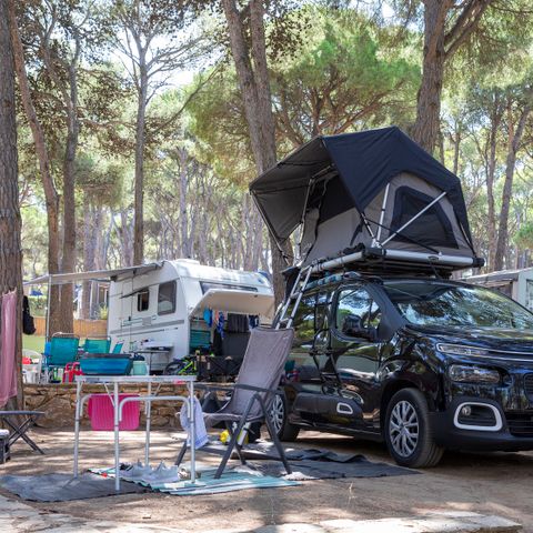 Kampeerplaats - Standaard Basis (45-60m2): auto + caravan of camper of tent + elektriciteit