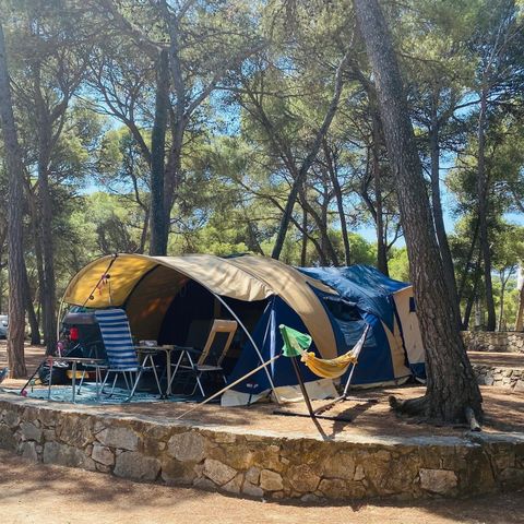 Kampeerplaats - Standaard tentplaats (40-55m2): auto + tent + elektriciteit