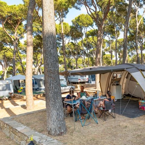 Kampeerplaats - Standaard tentplaats (40-55m2): auto + tent + elektriciteit