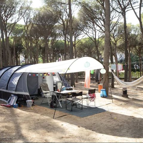 Kampeerplaats - Standaard tentplaats (40-55m2): auto + tent + elektriciteit