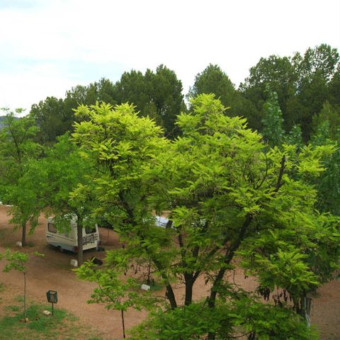 Kampeerplaats - PARCELA