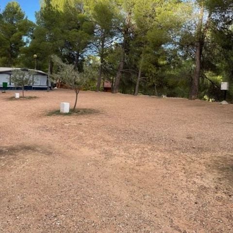 Pitch - PARCELA MAXI