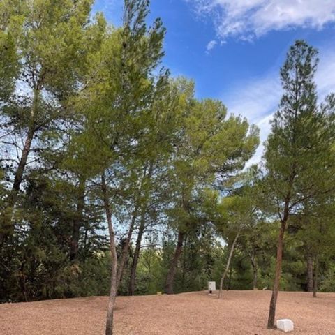 Kampeerplaats - PARCELA CHIQUI