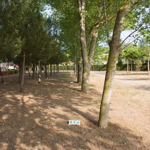 PARCELA - Parcela Confort (70-75m²): coche + tienda/caravana o autocaravana + electricidad 10A + WIFI