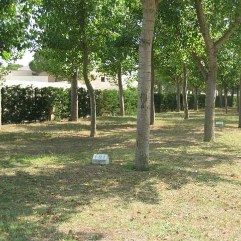 PARCELA - Parcela Confort (70-75m²): coche + tienda/caravana o autocaravana + electricidad 10A + WIFI