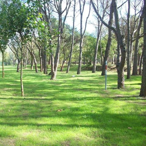 PLOT - Comfort Pitch (70-75m²): car + tent/caravan or camper + 10A electricity + WIFI