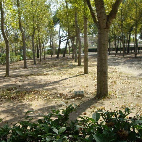 PLOT - Comfort Pitch (70-75m²): car + tent/caravan or camper + 10A electricity + WIFI