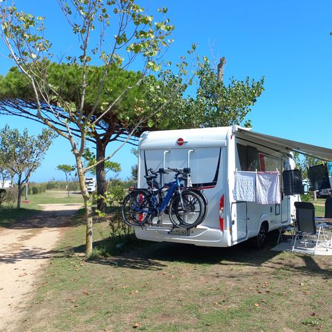 Kampeerplaats - Standplaats Master (85m²): auto + tent/caravan of camper + 10A elektriciteit + water en afvoer + + WIFI