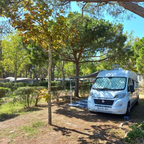Kampeerplaats - Standplaats Master (85m²): auto + tent/caravan of camper + 10A elektriciteit + water en afvoer + + WIFI