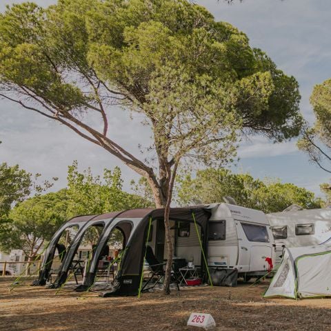 Stellplatz - Pitch Master + (115m²): Auto + Zelt/Wohnwagen oder Wohnmobil + Strom 10A + Wasser + Wifi