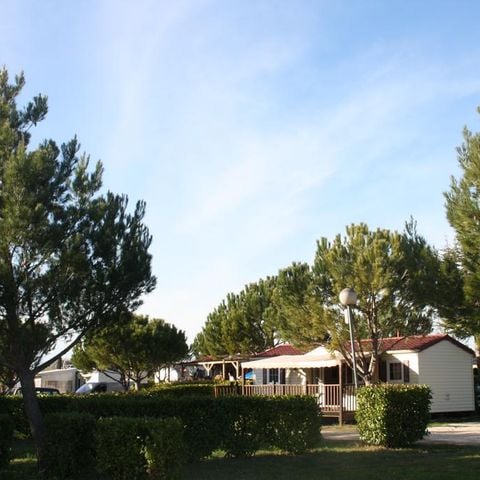 Camping Manon - Camping Vaucluse - Image N°11