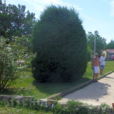 Camping Manon - Camping Vaucluse - Image N°15