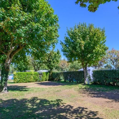 STAANPLAATS - Comfort pakket (1 tent, caravan of camper / 1 auto / 10A elektriciteit) | 2/6 personen