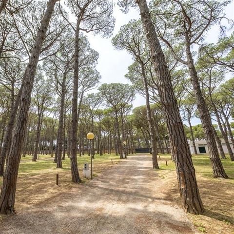 Emplacement - Pinada Camper