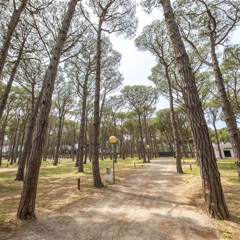 PIAZZOLA - Piazzola per camper Pinada