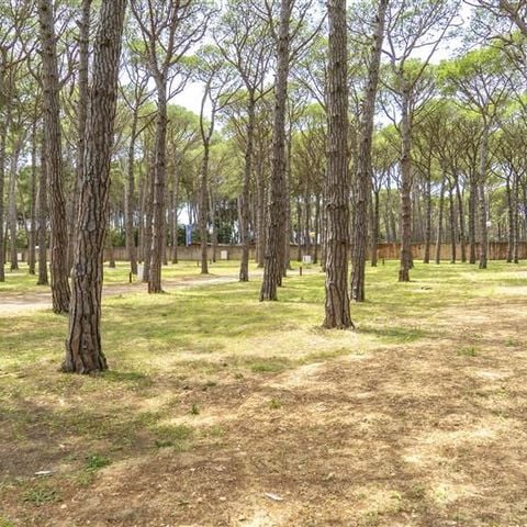 PARCELA - Parcela Zen Camper