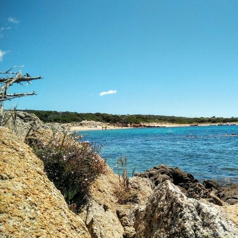 Camping Kevano Plage - Camping Zuid-corsica - Afbeelding N°2