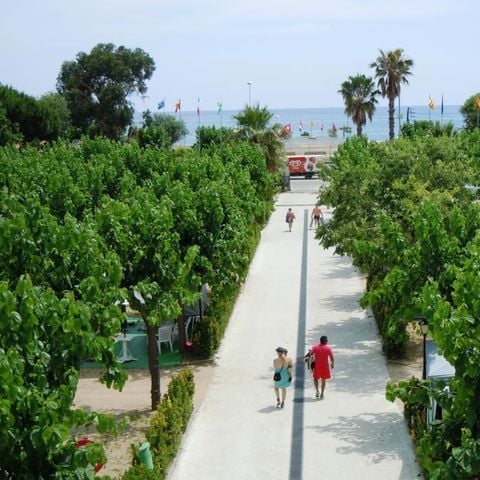 PARCELA - Parcela + 1 coche + tienda, caravana o autocaravana + electricidad