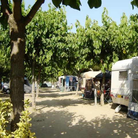 Pitch - Pitch + 1 car + tent, caravan or camper + electricity 1/6 pers