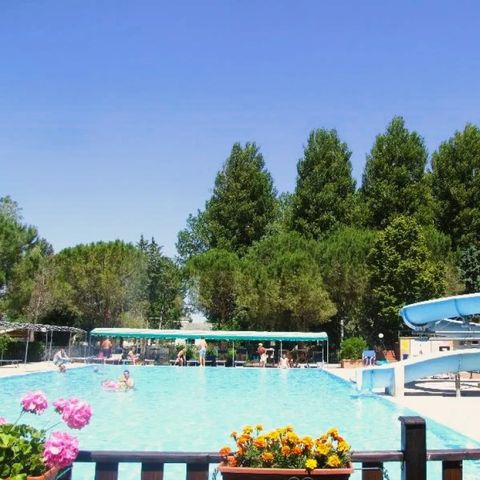 Camping Trasimeno  - Camping Pérouse - Image N°3