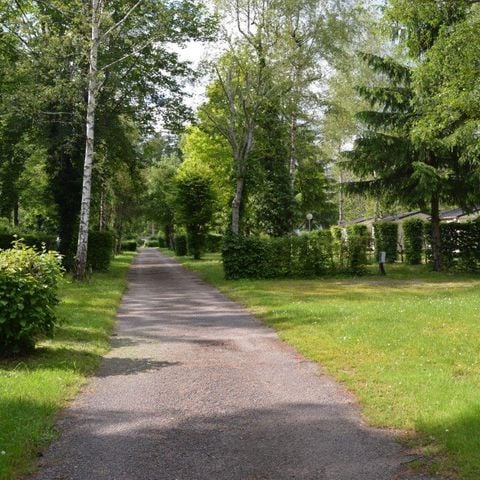 EMPLACEMENT - Emplacement Confort 2/6 pers