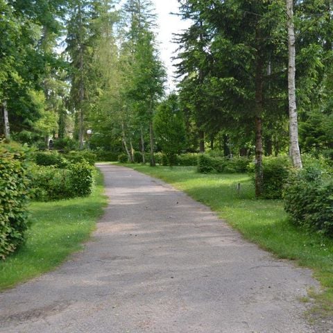 STAANPLAATS - Comfort standplaats 2/6 pers