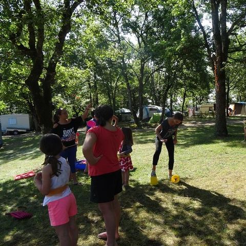 STAANPLAATS - tent / caravan of camper