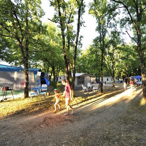 Kampeerplaats - tent / caravan of camper