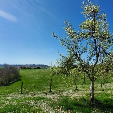 STAANPLAATS - Klassieke standplaats (tent of kleine bestelwagen)