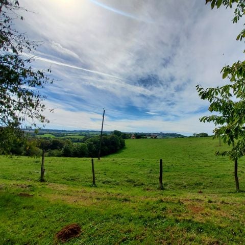 STAANPLAATS - Klassieke standplaats (tent of kleine bestelwagen)